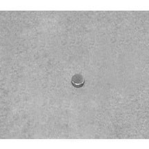 Neodymium Magnets Market in the USA